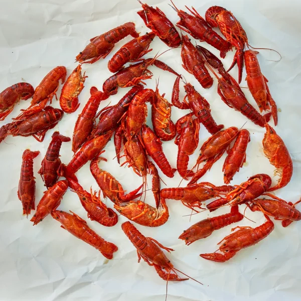 Crawfish