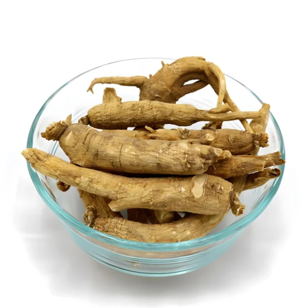 Whole Root Wisconsin American Ginseng - Large